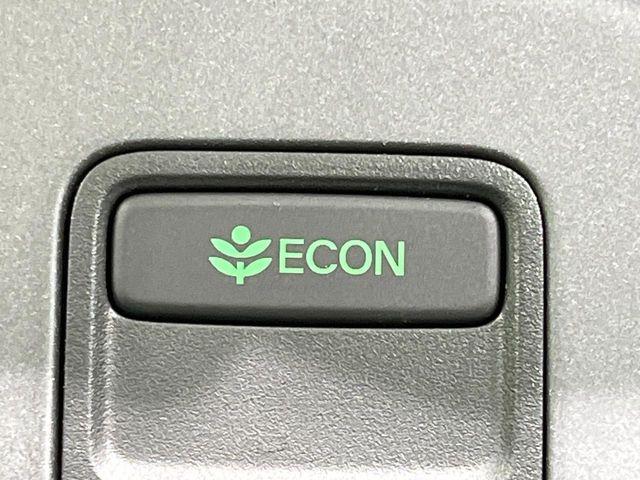 フリード(新潟県長岡市)