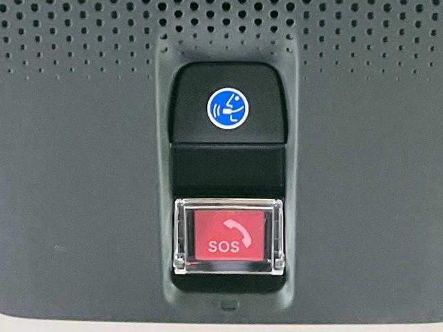 フリード(新潟県長岡市)