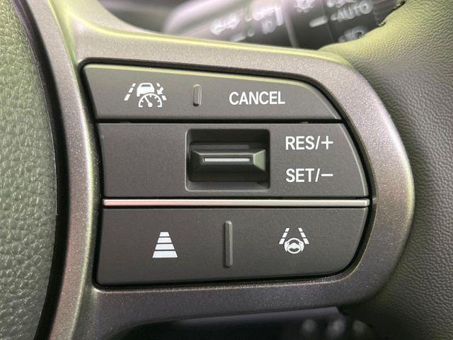 フリード(新潟県長岡市)