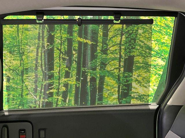 フリード(新潟県長岡市)