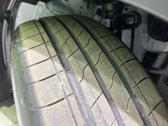 フリード(新潟県長岡市)