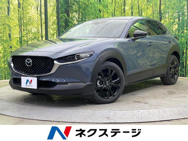 ＣＸ－３０（新潟県新潟市南区）
