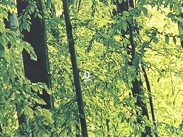 CX-30(新潟県新潟市南区)