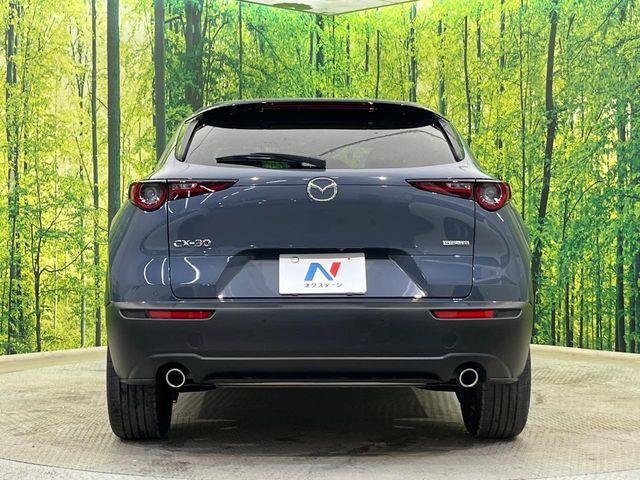 CX-30(新潟県新潟市南区)