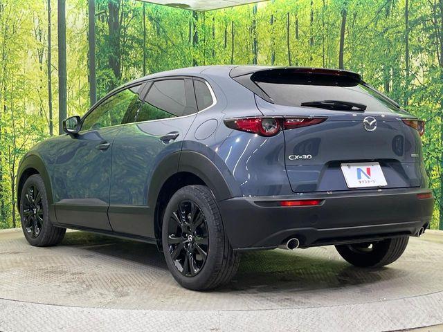 CX-30(新潟県新潟市南区)