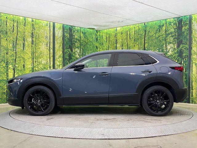 CX-30(新潟県新潟市南区)