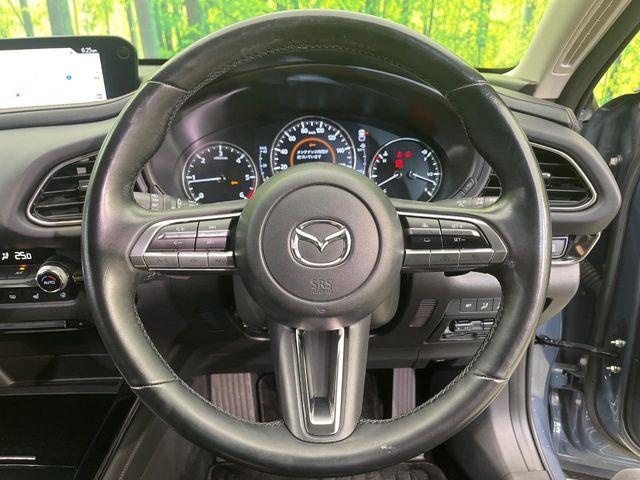 CX-30(新潟県新潟市南区)