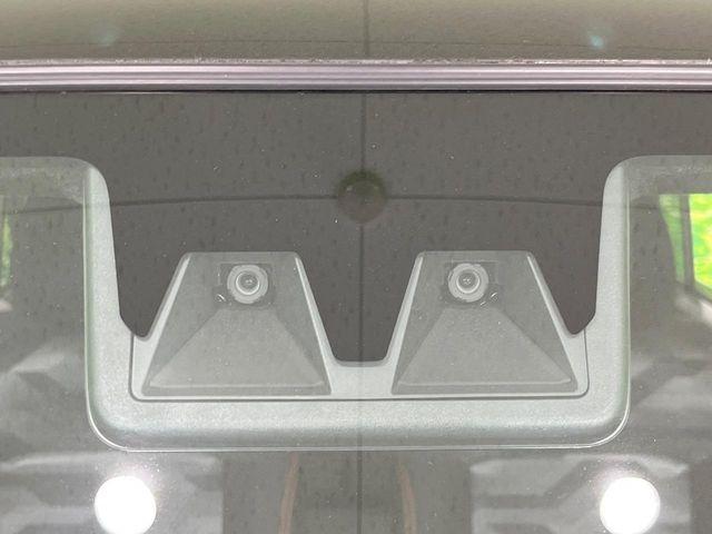 タフト（新潟県長岡市）