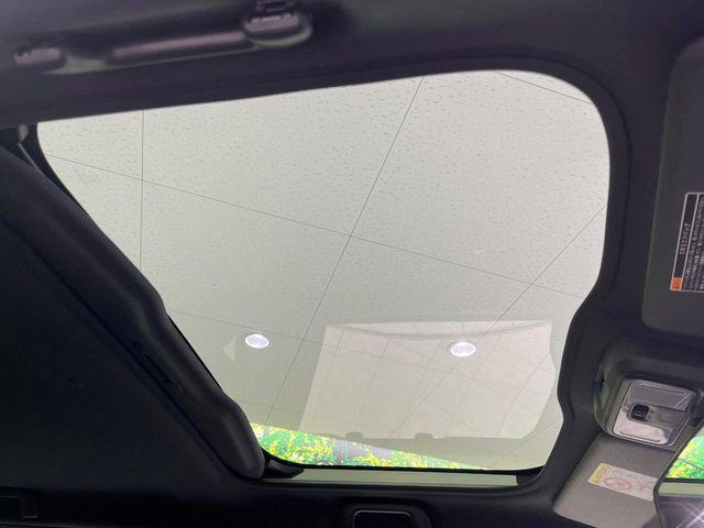 タフト（新潟県長岡市）