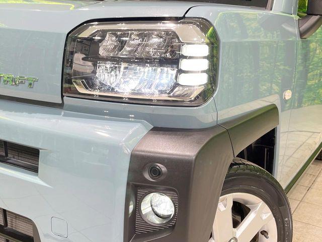 タフト（新潟県長岡市）