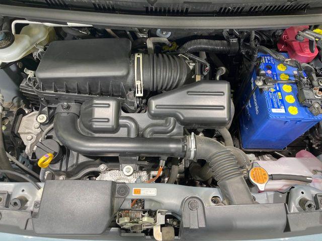 タフト（新潟県長岡市）