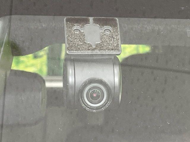 タフト（新潟県長岡市）