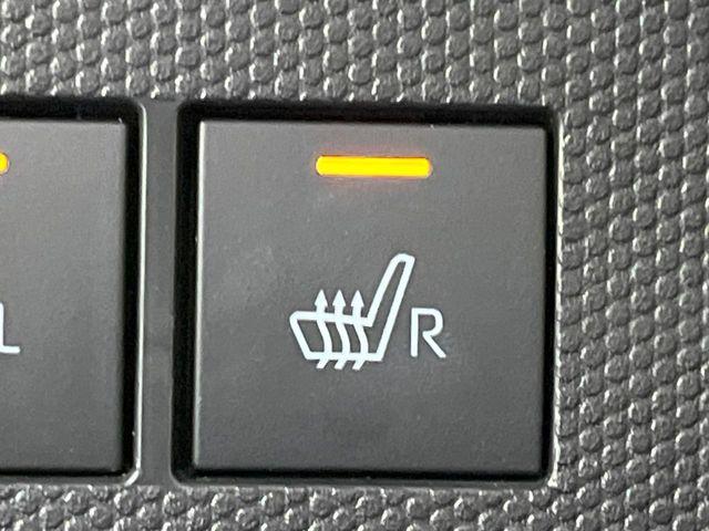 タフト（新潟県長岡市）