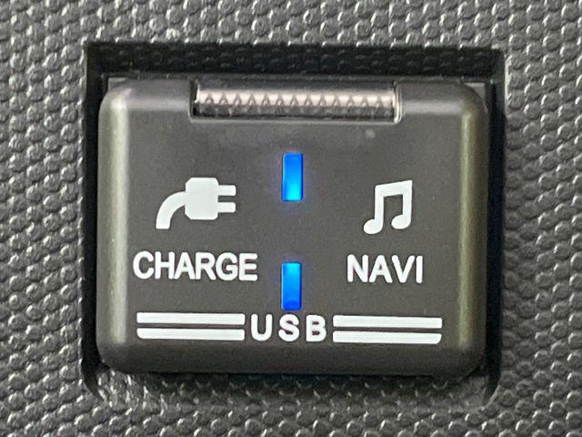 タフト（新潟県長岡市）