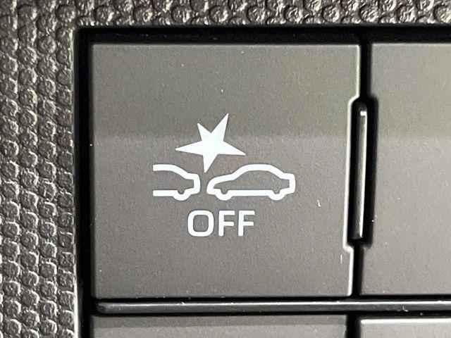 タフト（新潟県長岡市）