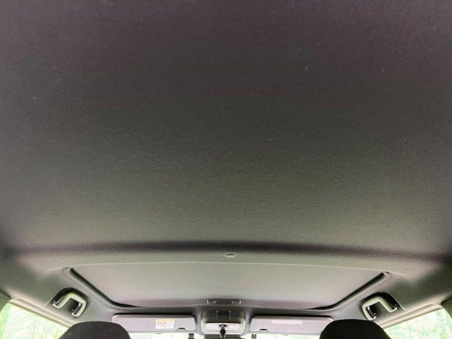 タフト（新潟県長岡市）