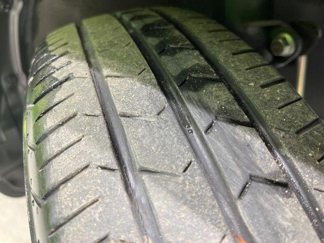 タフト（新潟県長岡市）