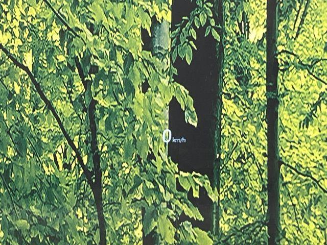 CX-8（新潟県新潟市南区）