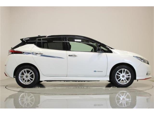 リーフ（新潟県新潟市東区）画像14