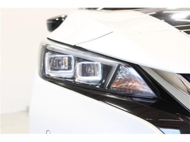 リーフ（新潟県新潟市東区）画像18