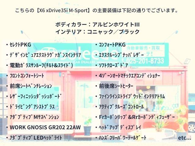 BMW X6(新潟県新潟市西区)