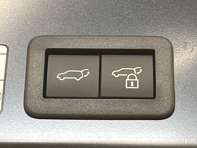 カローラクロス(新潟県新潟市南区)