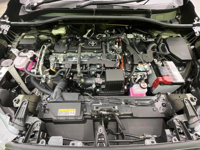 カローラクロス(新潟県新潟市南区)