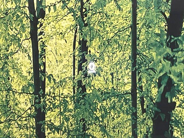 MAZDA3ファストバック(新潟県新潟市南区)