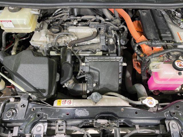 ヴォクシー（新潟県長岡市）