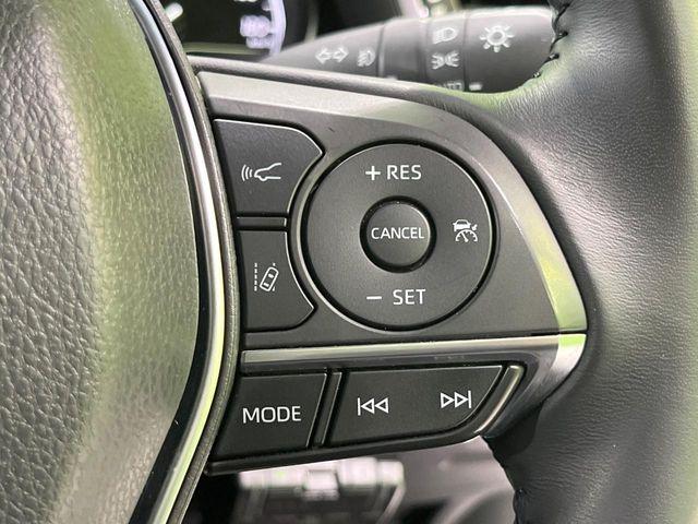 カムリ(新潟県長岡市)