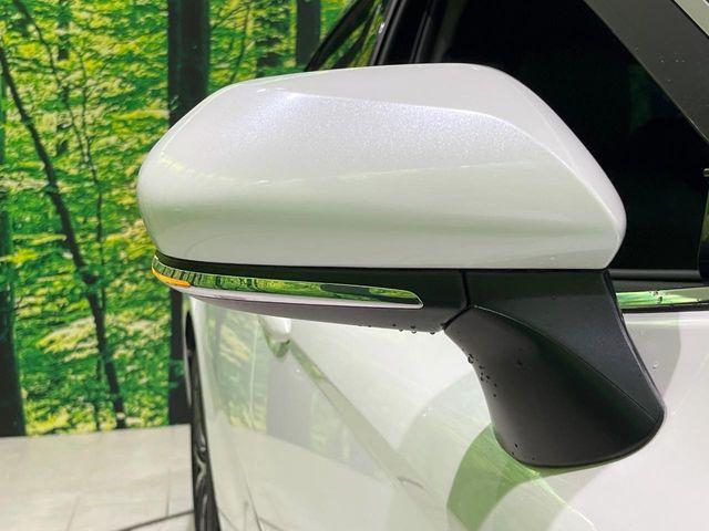 カムリ(新潟県長岡市)