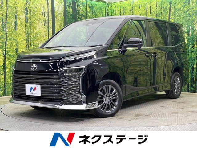 ヴォクシー（新潟県新潟市南区）