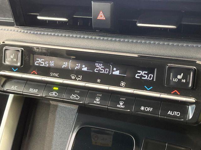 ヴォクシー（新潟県新潟市南区）