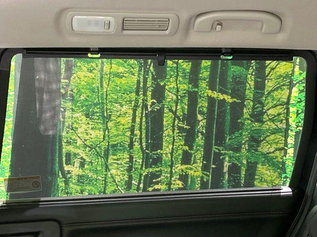 エルグランド(新潟県長岡市)