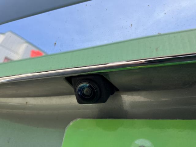 デイズ（新潟県新潟市西蒲区）