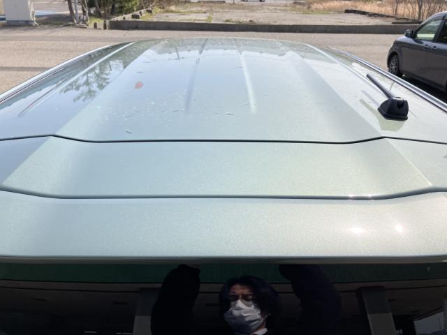 デイズ（新潟県新潟市西蒲区）