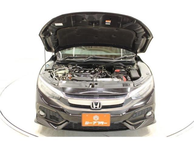 シビック（新潟県新潟市東区）