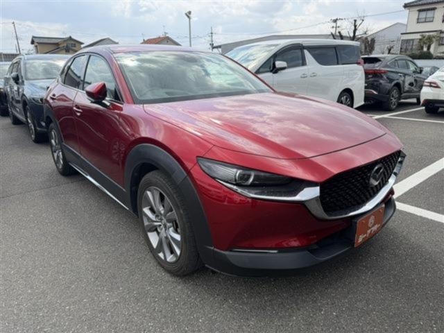 ＣＸ－３０（新潟県新潟市東区）