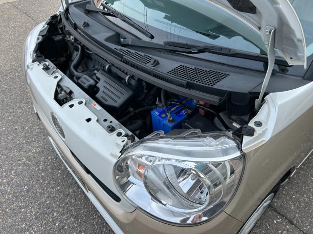 ムーヴキャンバス(新潟県新潟市南区)