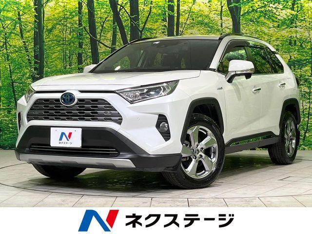 ＲＡＶ４（新潟県長岡市）