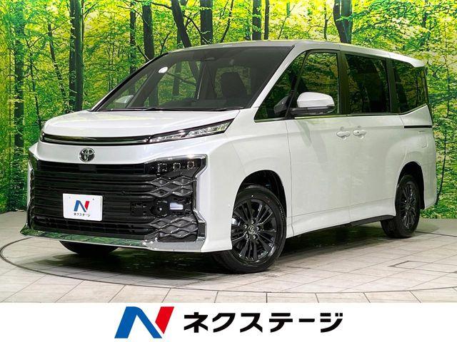 ヴォクシー（新潟県長岡市）