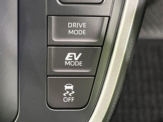 ヴォクシー(新潟県長岡市)