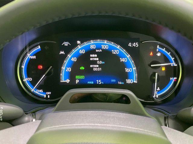 ヴォクシー(新潟県長岡市)