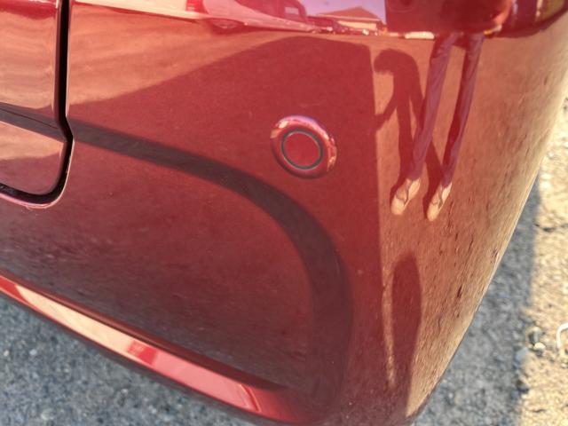 タント(新潟県新潟市西区)