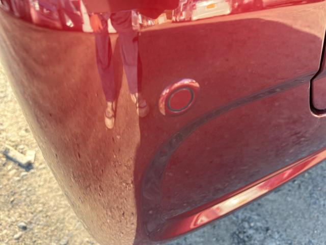 タント(新潟県新潟市西区)