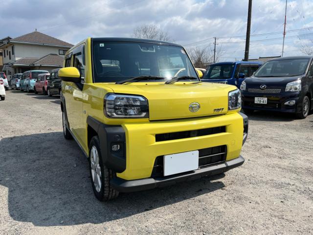 タフト(新潟県新潟市西区)