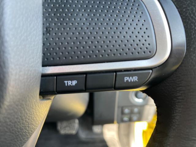 タフト(新潟県新潟市西区)