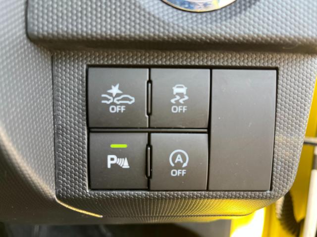 タフト(新潟県新潟市西区)