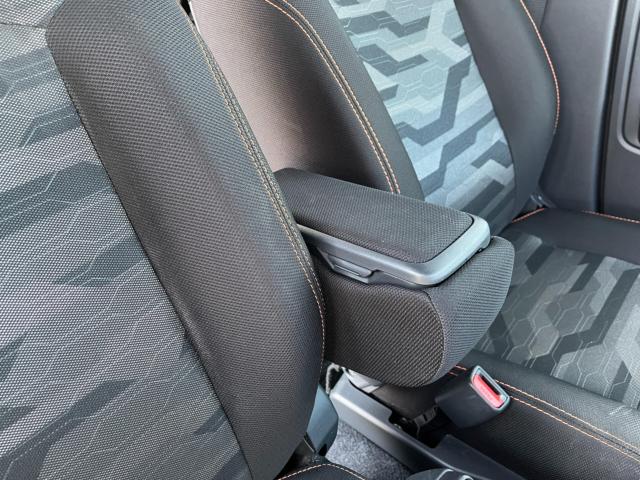 タフト(新潟県新潟市西区)