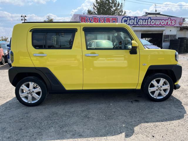 タフト(新潟県新潟市西区)